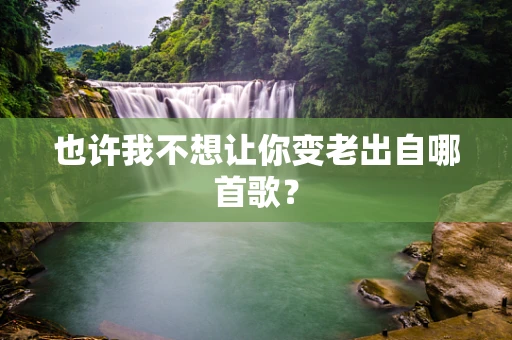 也许我不想让你变老出自哪首歌？