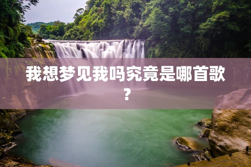 我想梦见我吗究竟是哪首歌？