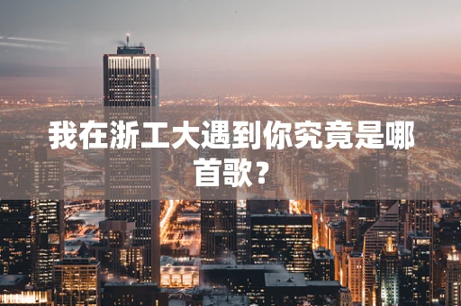我在浙工大遇到你究竟是哪首歌？