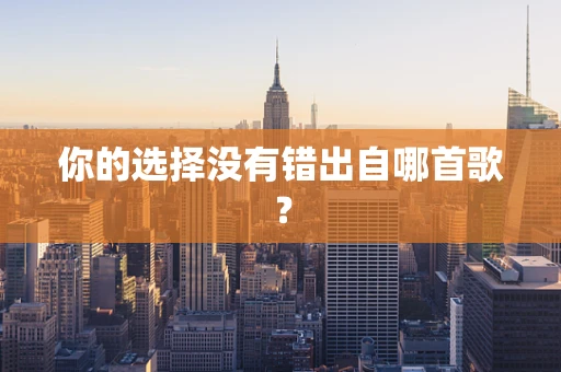 你的选择没有错出自哪首歌？
