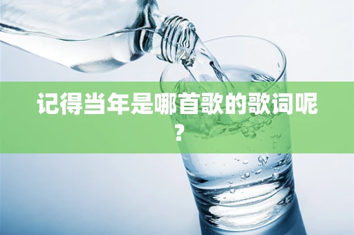 记得当年是哪首歌的歌词呢？
