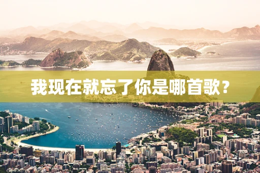 我现在就忘了你是哪首歌？