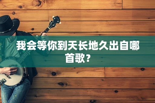 我会等你到天长地久出自哪首歌？