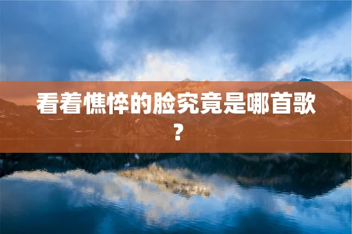 看着憔悴的脸究竟是哪首歌？