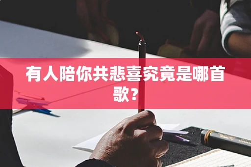 有人陪你共悲喜究竟是哪首歌？