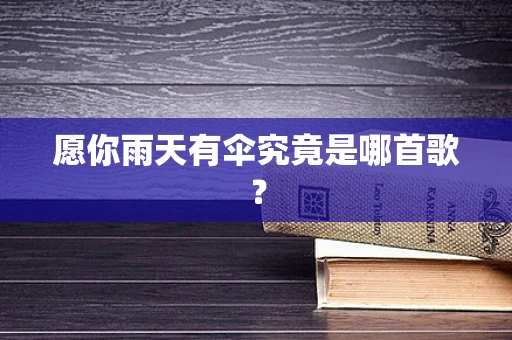 愿你雨天有伞究竟是哪首歌？