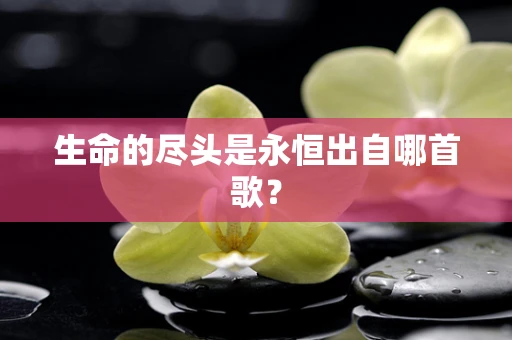 生命的尽头是永恒出自哪首歌？