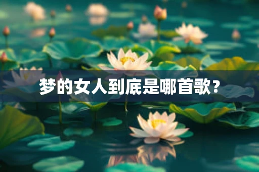 梦的女人到底是哪首歌？