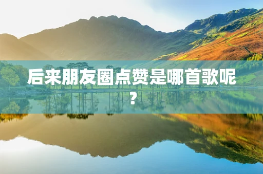 后来朋友圈点赞是哪首歌呢？