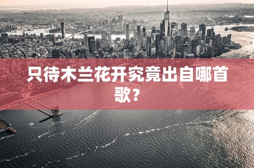 只待木兰花开究竟出自哪首歌？