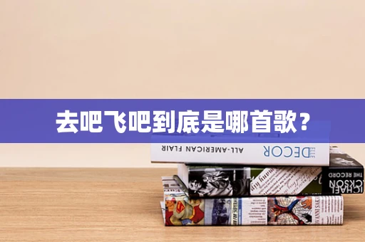 去吧飞吧到底是哪首歌？