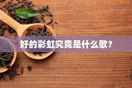 好的彩虹究竟是什么歌？
