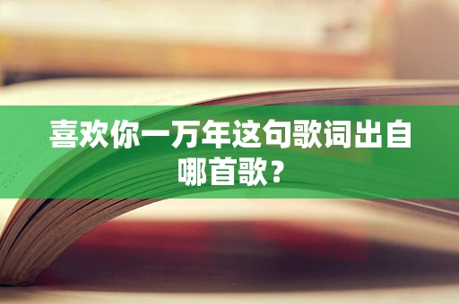 喜欢你一万年这句歌词出自哪首歌？
