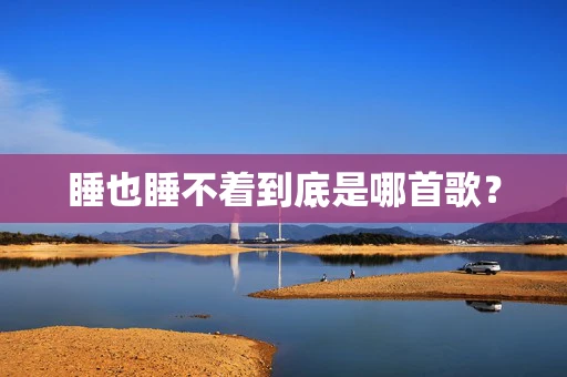 睡也睡不着到底是哪首歌？