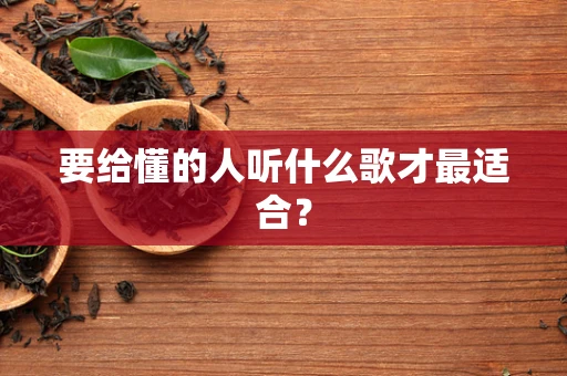 要给懂的人听什么歌才最适合？