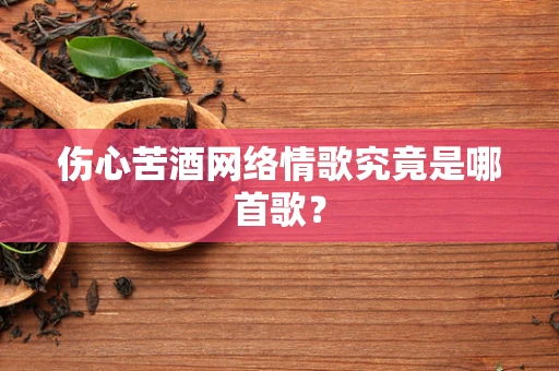 伤心苦酒网络情歌究竟是哪首歌？