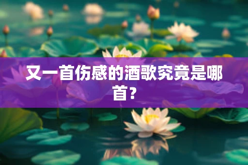 又一首伤感的酒歌究竟是哪首？