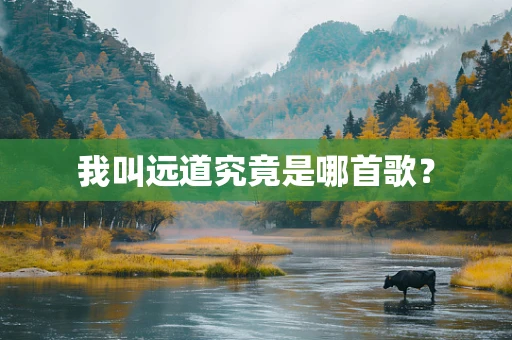 我叫远道究竟是哪首歌？