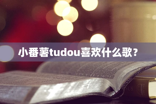 小番薯tudou喜欢什么歌？