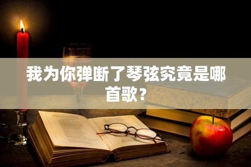 我为你弹断了琴弦究竟是哪首歌？