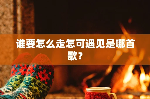 谁要怎么走怎可遇见是哪首歌？