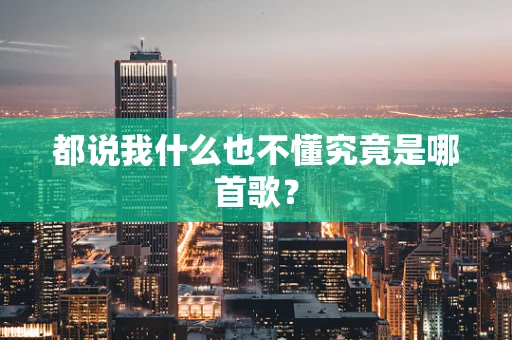 都说我什么也不懂究竟是哪首歌？