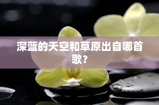 深蓝的天空和草原出自哪首歌？