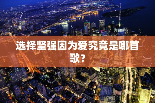 选择坚强因为爱究竟是哪首歌？