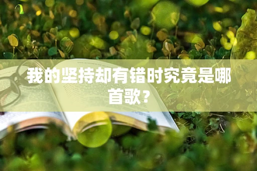 我的坚持却有错时究竟是哪首歌？