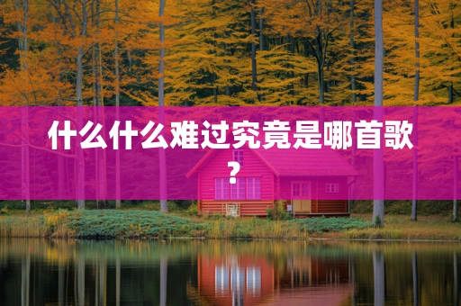 什么什么难过究竟是哪首歌？