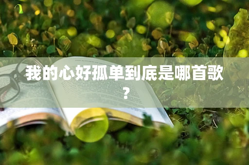 我的心好孤单到底是哪首歌？