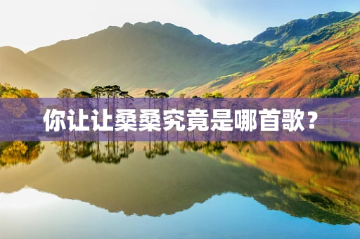 你让让桑桑究竟是哪首歌？