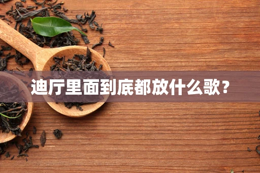 迪厅里面到底都放什么歌？