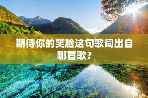 期待你的笑脸这句歌词出自哪首歌？