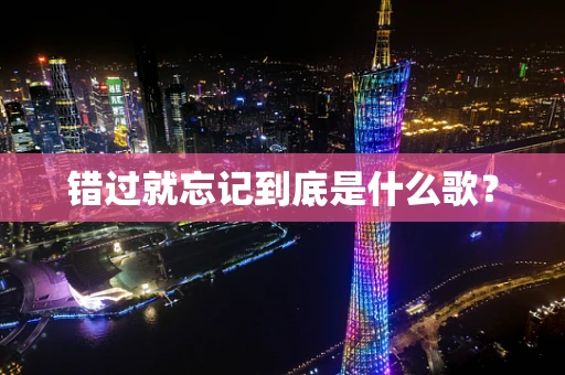 错过就忘记到底是什么歌？