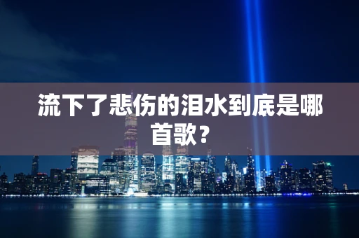 流下了悲伤的泪水到底是哪首歌？