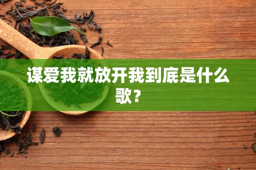 谋爱我就放开我到底是什么歌？