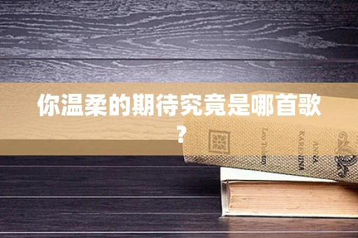 你温柔的期待究竟是哪首歌？
