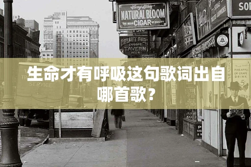 生命才有呼吸这句歌词出自哪首歌？