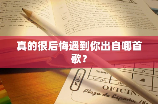 真的很后悔遇到你出自哪首歌？