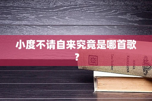 小度不请自来究竟是哪首歌？
