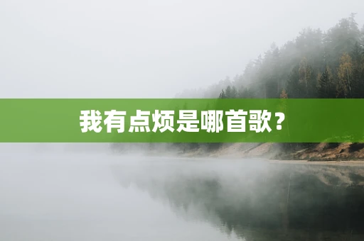 我有点烦是哪首歌？