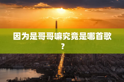 因为是哥哥嘛究竟是哪首歌？