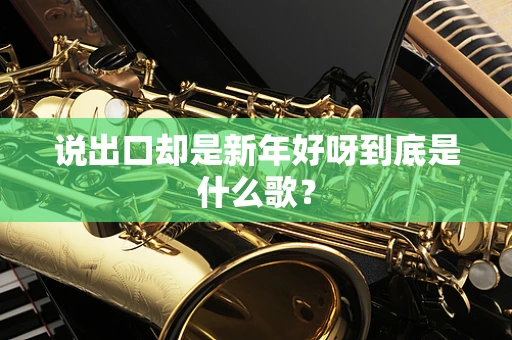 说出口却是新年好呀到底是什么歌？