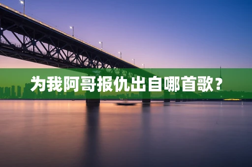 为我阿哥报仇出自哪首歌？