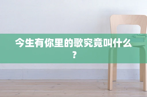 今生有你里的歌究竟叫什么？