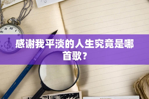 感谢我平淡的人生究竟是哪首歌？