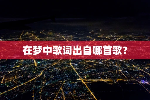 在梦中歌词出自哪首歌？