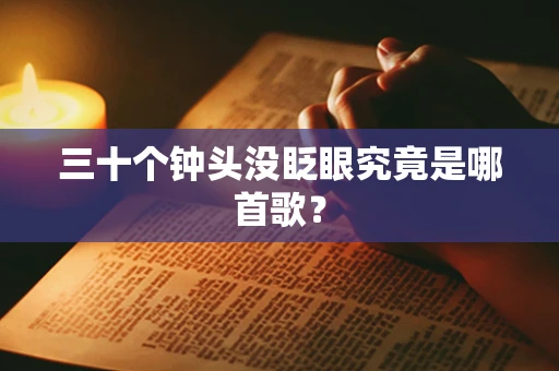 三十个钟头没眨眼究竟是哪首歌？
