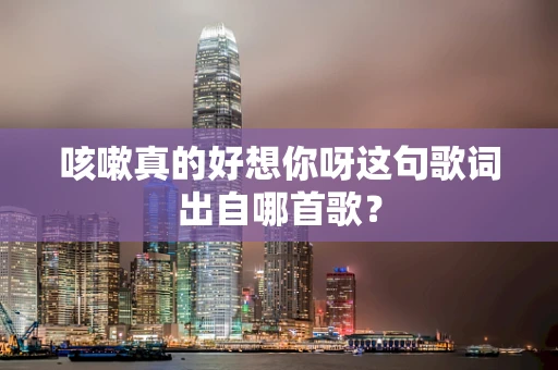 咳嗽真的好想你呀这句歌词出自哪首歌？